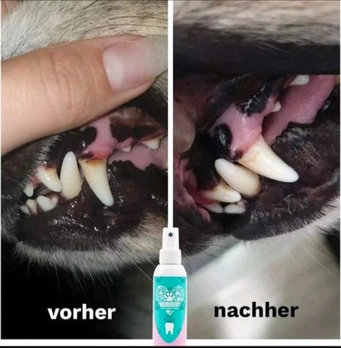 TIERLIEBHABER – Dentalspray Für Hunde & Katzen Entfernt Zahnbelag 100% Natürlich