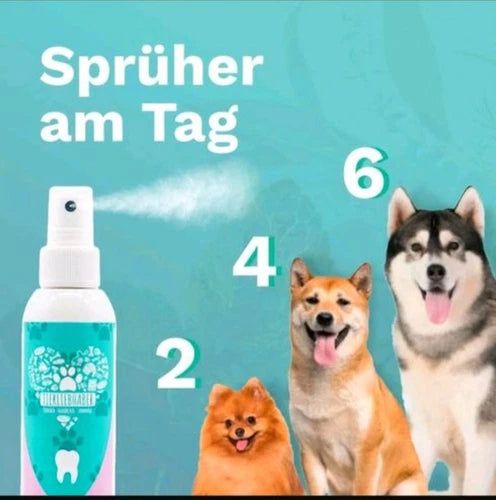 TIERLIEBHABER – Dentalspray Für Hunde & Katzen Entfernt Zahnbelag 100% Natürlich